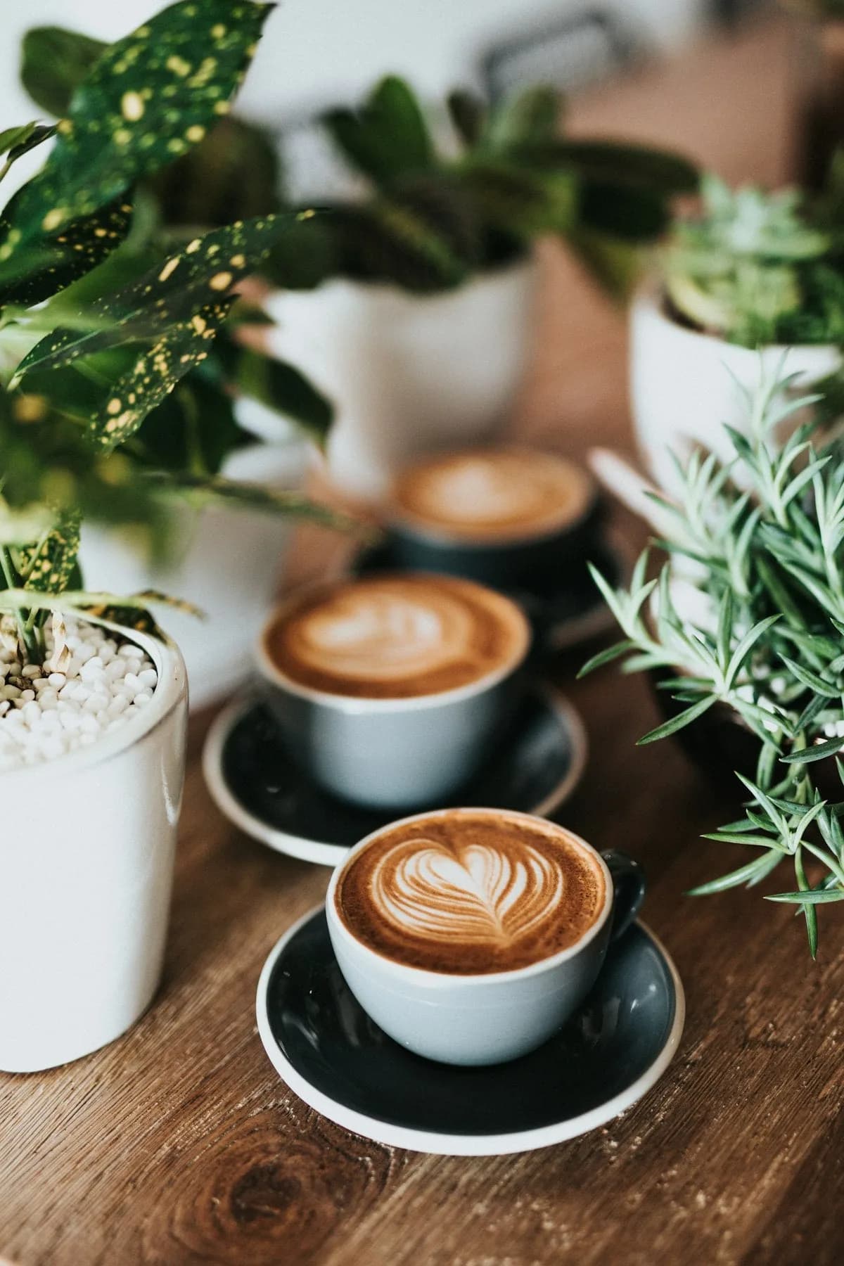 Detour Coffee Roasters — Ethiopia Yirgacheffe