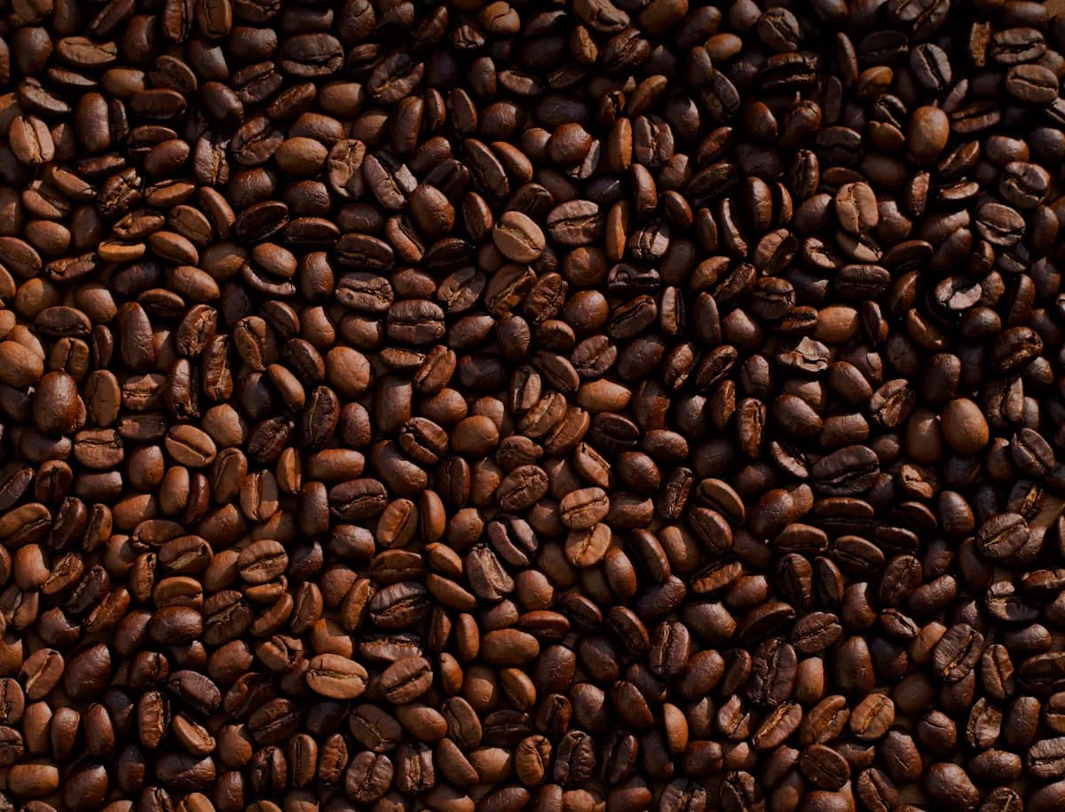 Sey Coffee — Kenya Kiamabundu