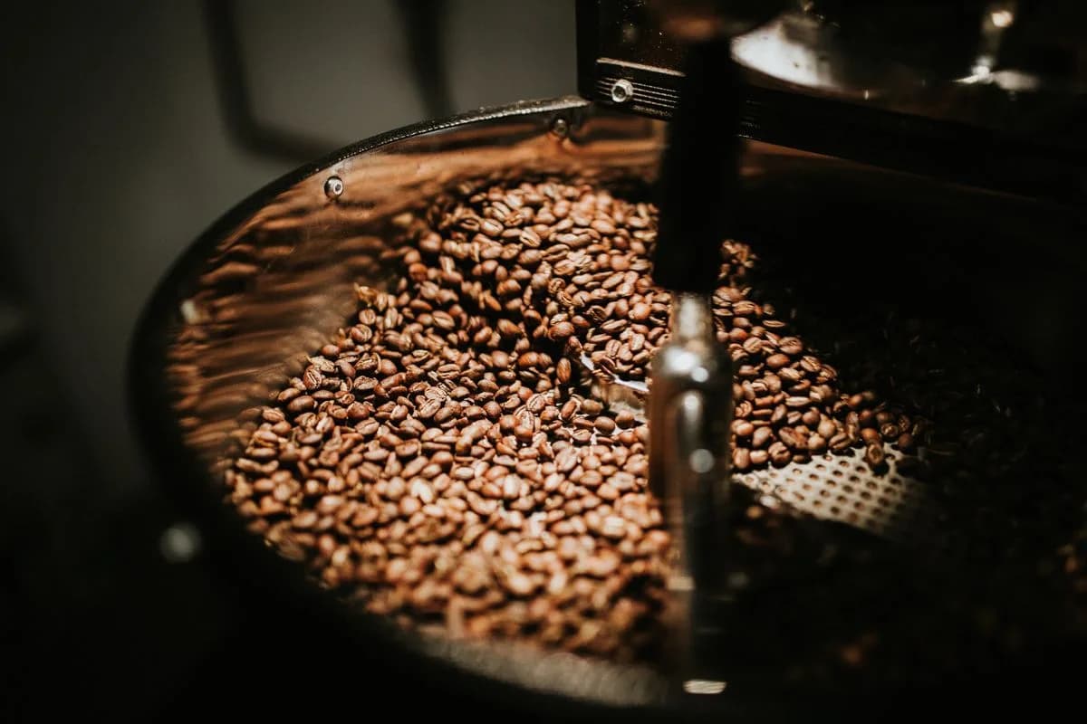 Trade Coffee — Roaster's Choice Curated Box
